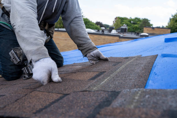 Sealant for Roof in Shawnee, KS